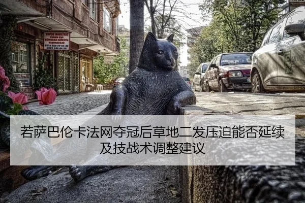 若萨巴伦卡法网夺冠后草地二发压迫能否延续及技战术调整建议