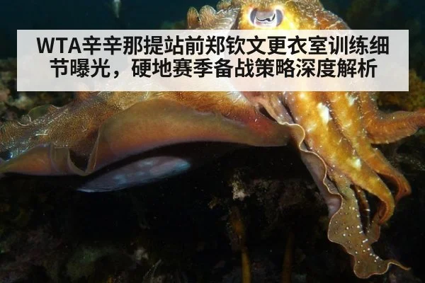 WTA辛辛那提站前郑钦文更衣室训练细节曝光，硬地赛季备战策略深度解析